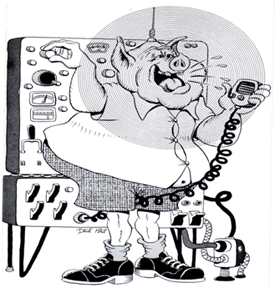 BROADBAND 80 275.gif (54909 bytes)